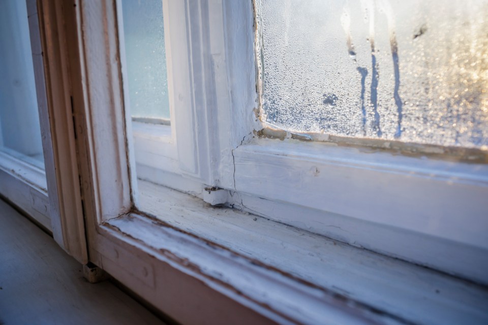 Condensation forms when water which collects as droplets on a cold surface when warm air is in contact with it.