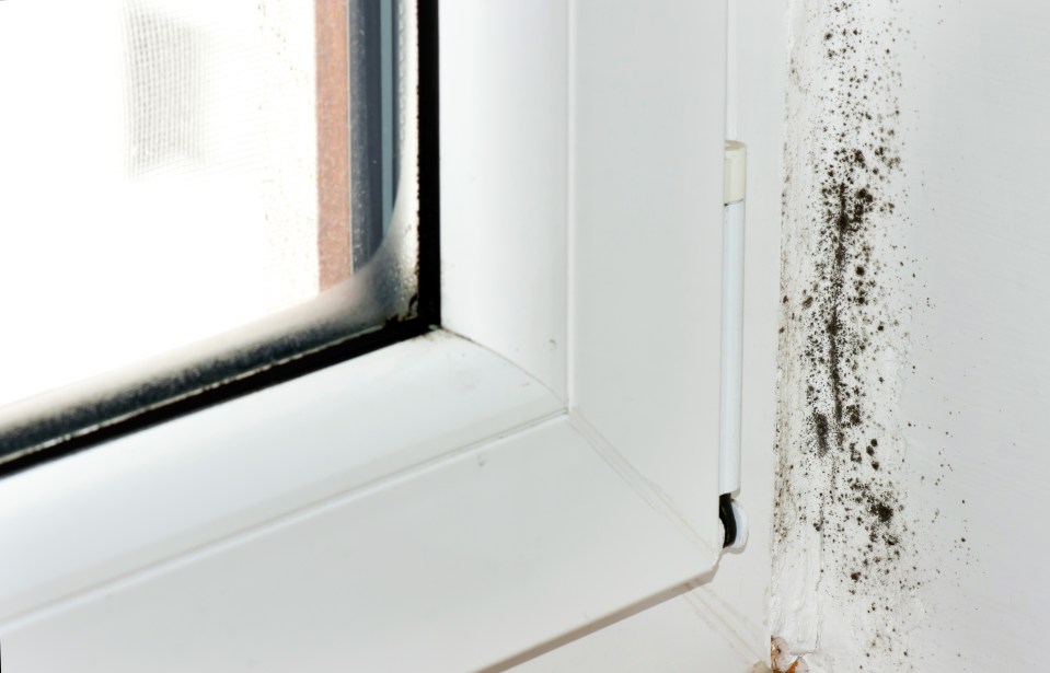 Mould can appear around windowsills if condensation is not dealt with