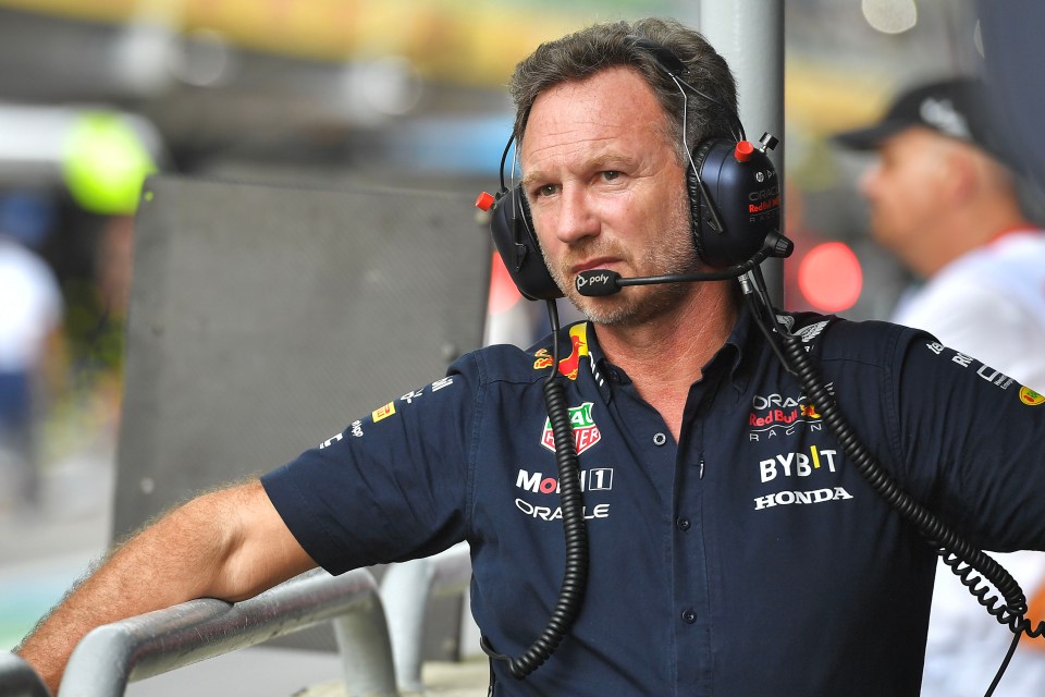 Christian Horner pictured in November 2023