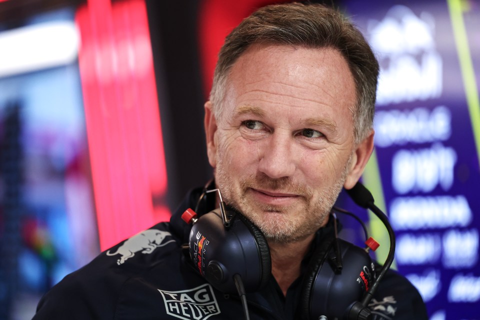 Horner had claimed that a member of Hamilton's team had reached out to him about Hamilton joining Red Bull