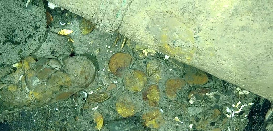 $16billion worth of lost treasures including gold, cannons and swords are sat on the wreckage at the bottom of the Caribbean Sea