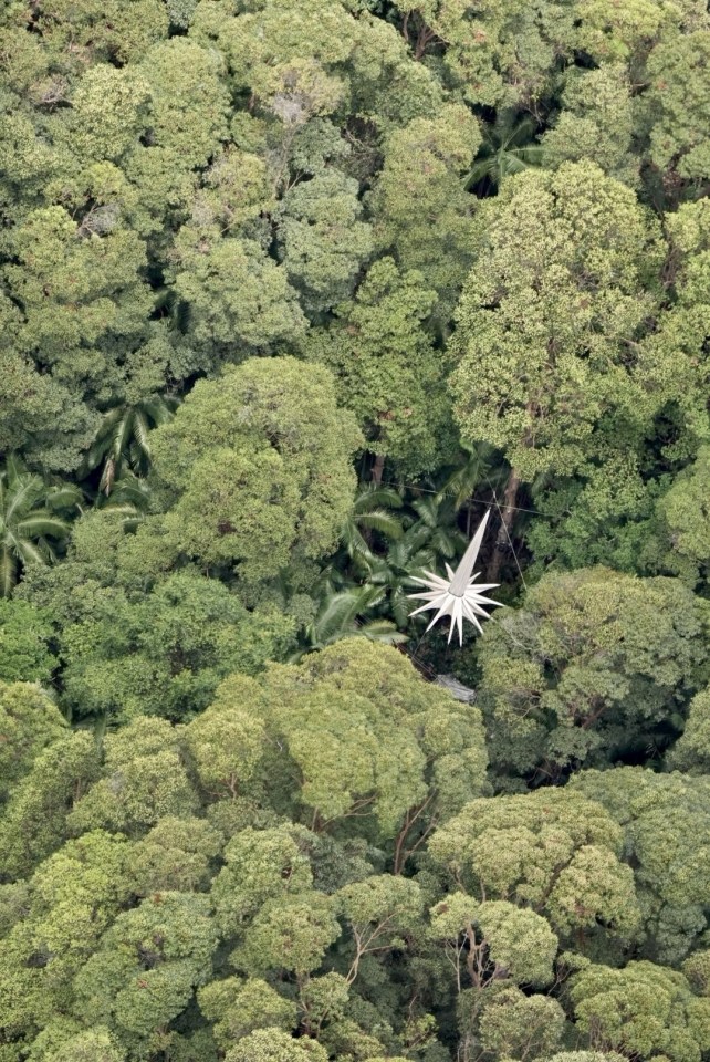 A hanging star hovers above the jungle camp