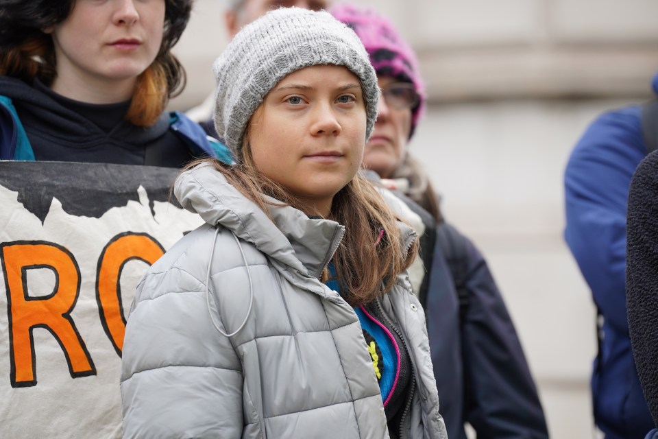 Greta Thunberg has denied a public order offence