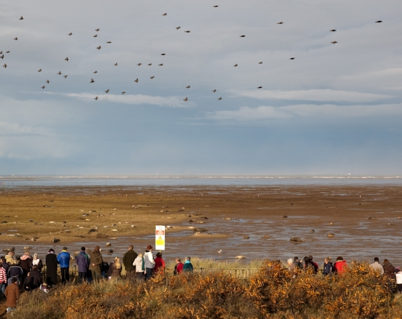 Donna Nook in Lincolnshire is a popular seal spotting area in the winter