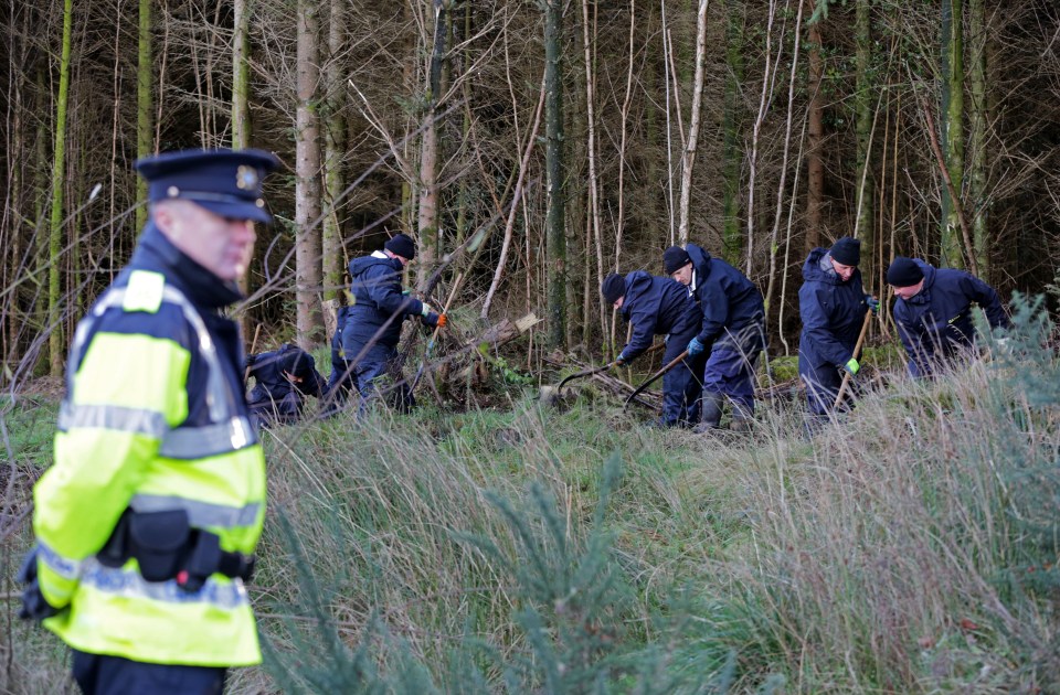 Garda officers search the woods in the Wicklow Mountains