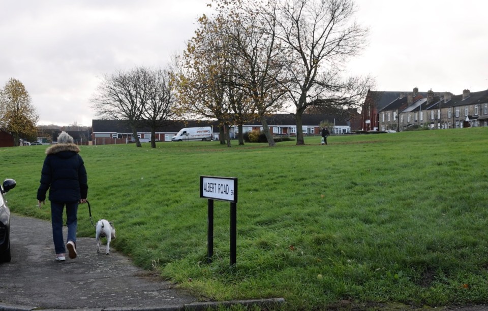 Residents in Rotherham are terrified of dangerous dogs in the area