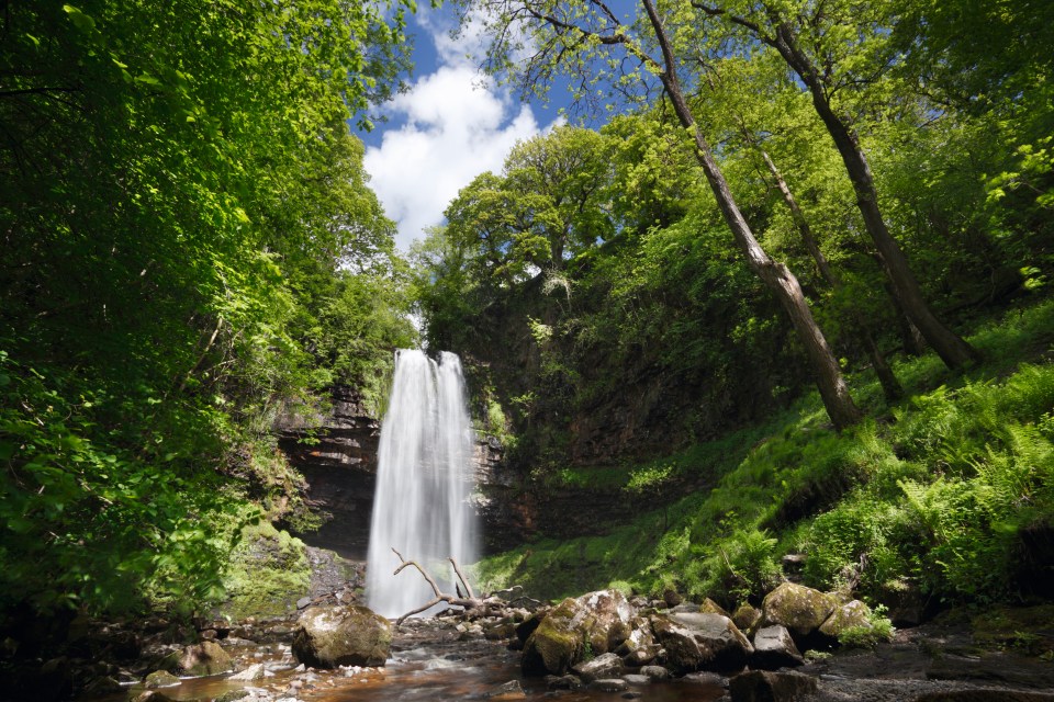 The National Trust improved access to the area in 2015 to make it easier to see