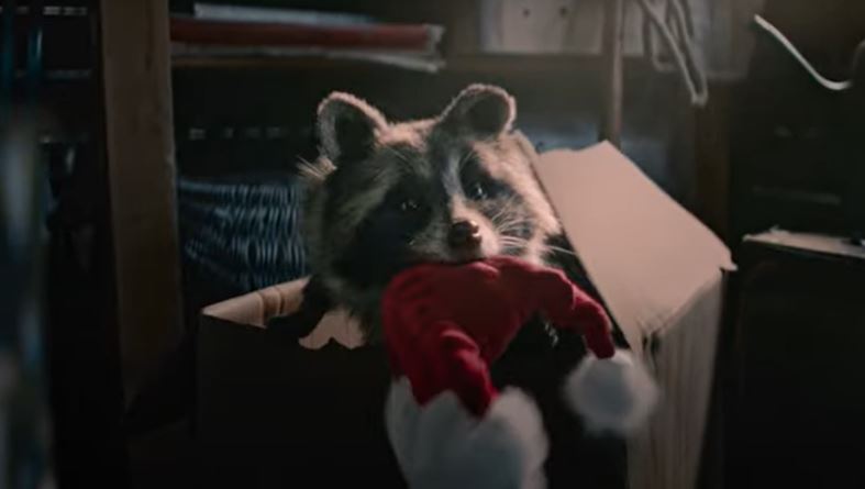 Lidl's raccoon is the least annoying Christmas ad character