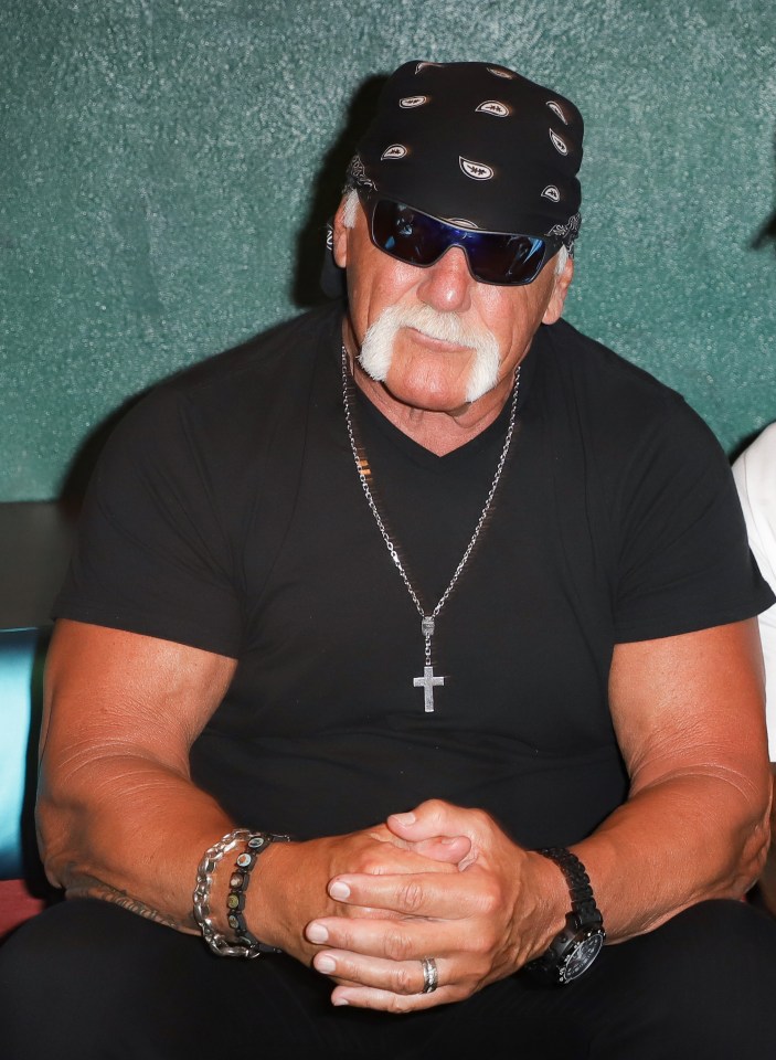 WWE wrestler Hulk Hogan