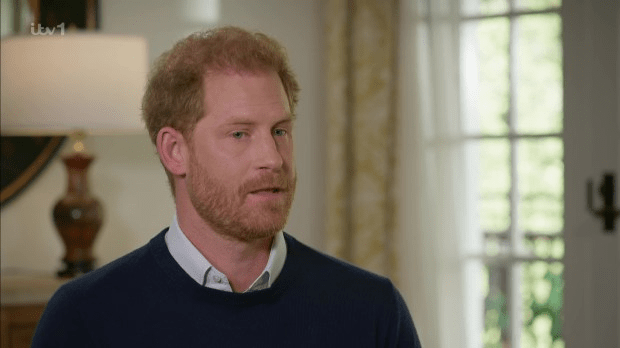 Prince Harry denied ever calling the Royal Family racist