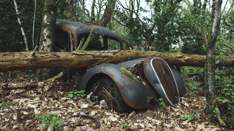 The collection included models from Citroen, Renault and Mercedes dating back to the 1950s