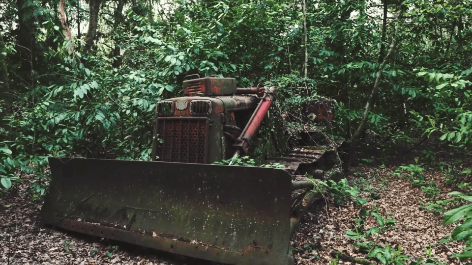 Vintage vehicles sat alongside agricultural equipment