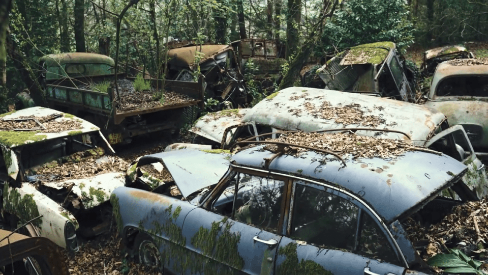 Over 50 classic cars were found abandoned in a remote French woodland