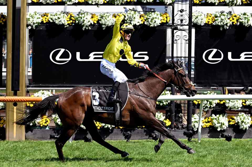 Top Australian jockey Zahra was not for catching on awesome Melbourne Cup winner Without A Fight