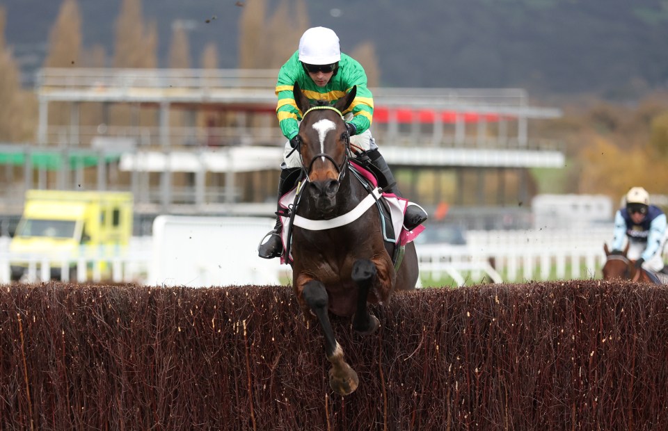 Small fields are a problem in jumps racing, as we saw at Cheltenham last weekend