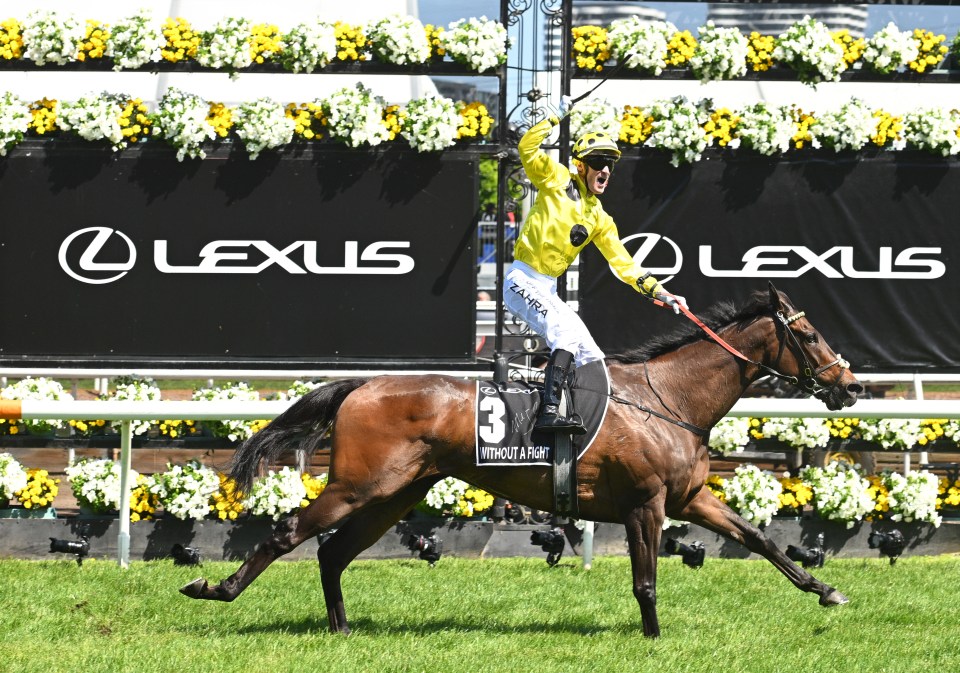 The moment Without a Fight won the Melbourne Cup