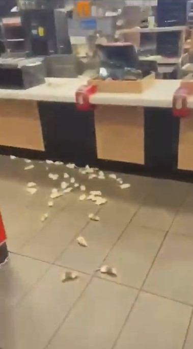 Pro-Palestine vandals have released mice into McDonald's in recent days