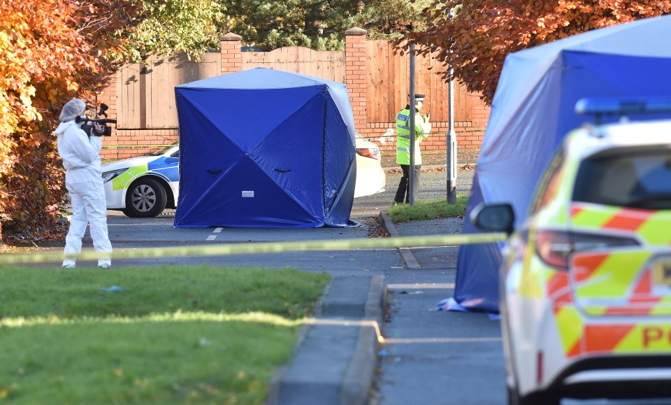 A man has been arrested on suspicion of murder after a mum was stabbed to death in front of her two young kids in a ‘truly horrific attack’