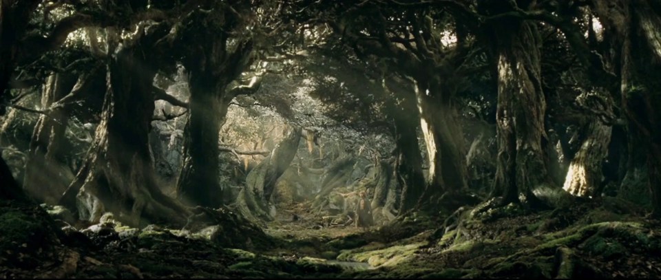 A still of Fangorn Forest from one of the Lord of the Rings films