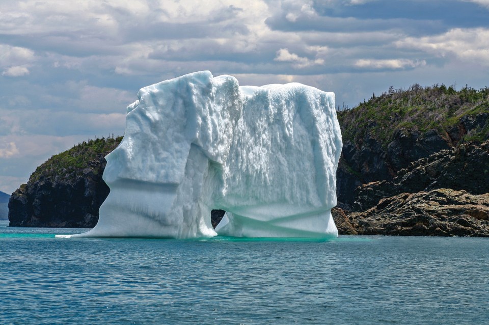 St John's is popular with iceberg hunters