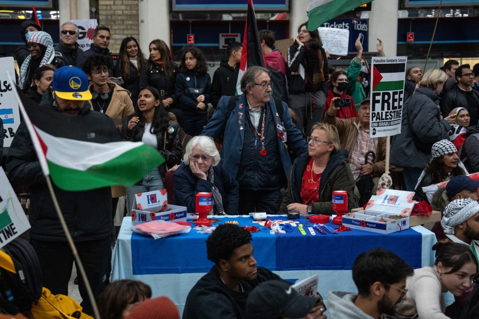 Poppy sellers at Charing Cross station in London hemmed in by pro-Palestinian protesters on Saturday