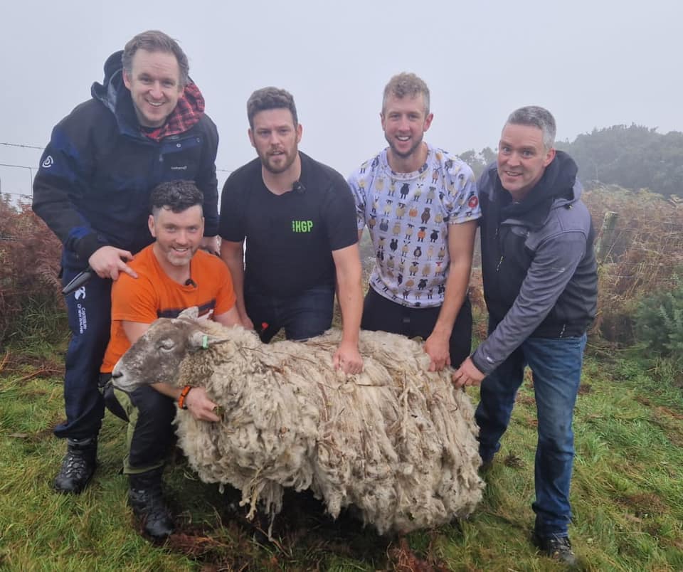 Volunteers managed to reach the ewe which had been stranded for two years