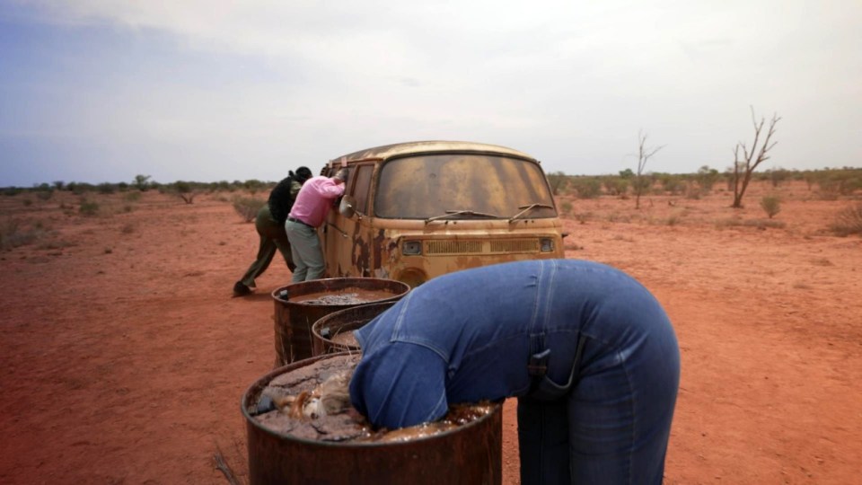 STRICT EMBARGO - NOT FOR USE BEFORE 20:00 GMT, 18 Nov 2023 - EDITORIAL USE ONLY Mandatory Credit: Photo by ITV/Shutterstock (14221075ac) Outback Challenge - Nella Rose, Josie Gibson and Nigel Farage 'I'm a Celebrity... Get Me Out of Here!' TV Show, Series 23, Australia - 19 Nov 2023