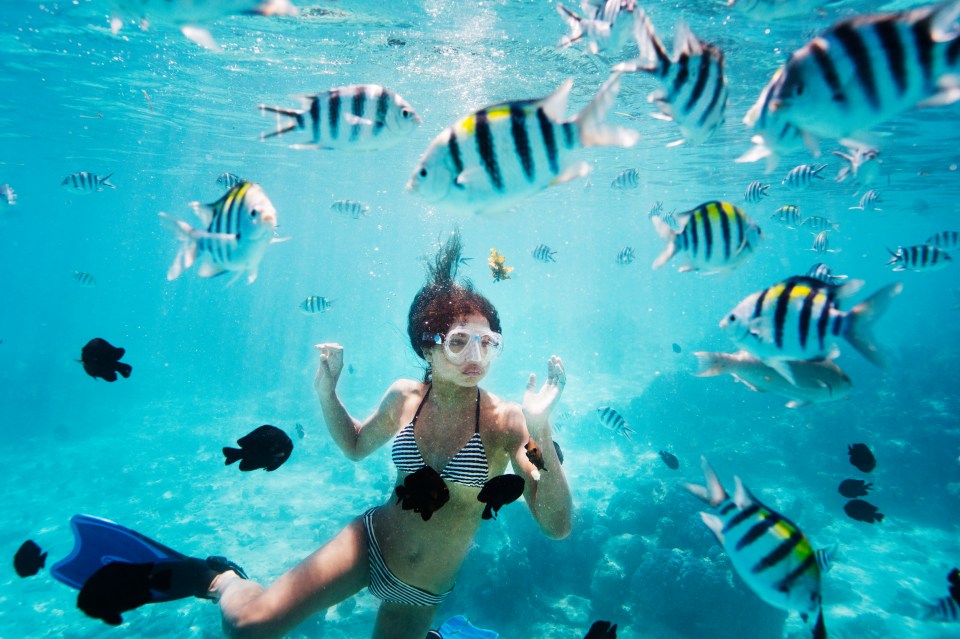 On a snorkelling trip you will feel like you are swimming through your own personal aquarium