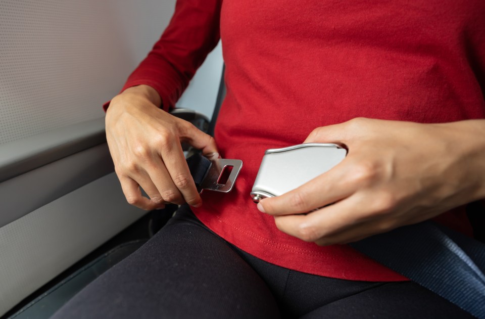 Passengers have to stay fastened in until the seatbelt sign is turned off