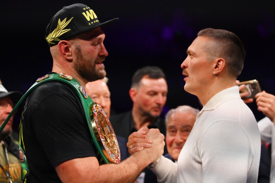 Tyson Fury and Oleksandr Usyk are set to fight next