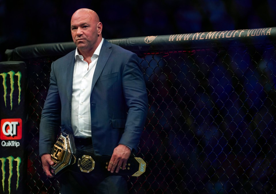 UFC president Dana White has hinted the Irishman could return next summer