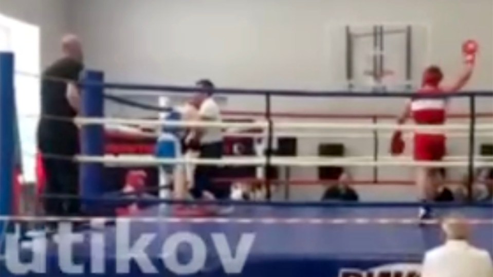 Timofey Shadrin, a gifted teenage boxer, died during a match after collapsing in the ring