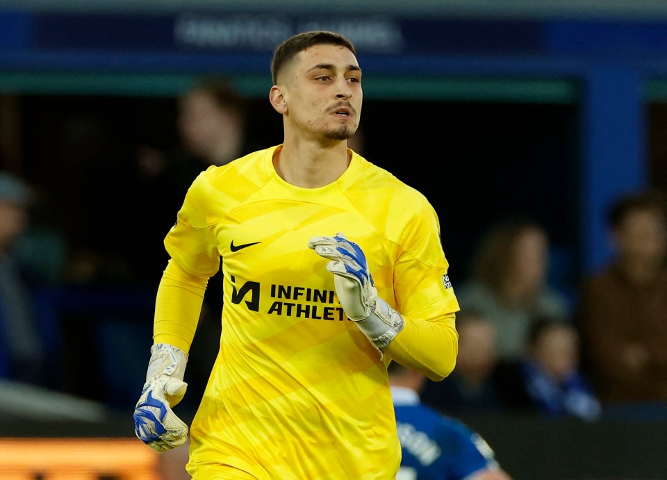 Djordje Petrovic will now be between the sticks for Chelsea