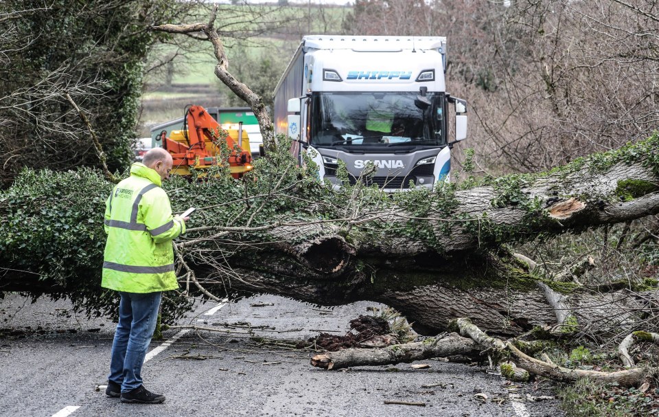 A fallen tree blocked the road in Somerset thanks to heavy winds on Thursday