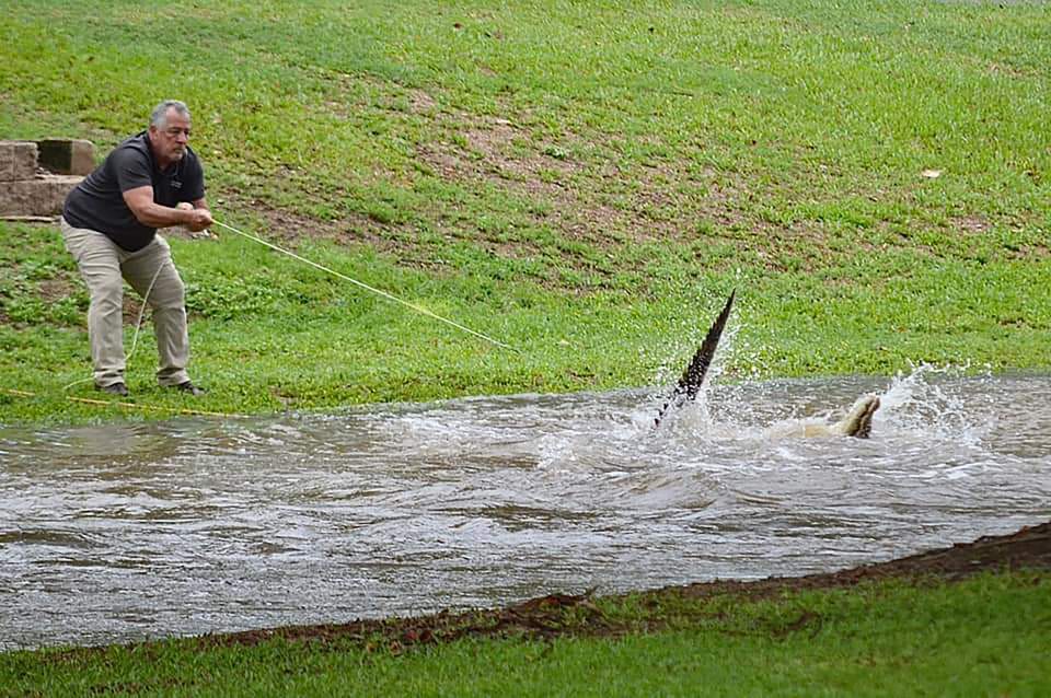 Residents have also been warned to be careful whilst wading through floodwater, due to the crocodile risk