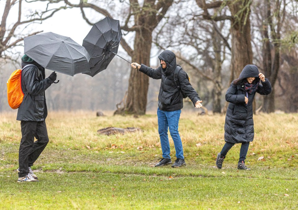 Walkers brave the wind and rain of Storm Elin in Richmond Park south-west London today