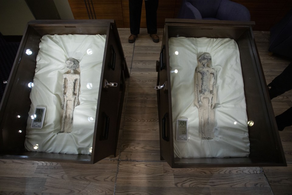 The two bodies were presented in front of Mexican congress and the public