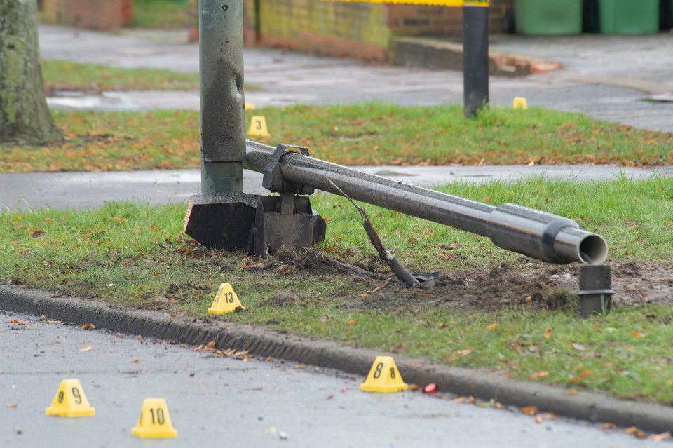 The controversial camera was erected on Willersley Avenue in Sidcup, South London