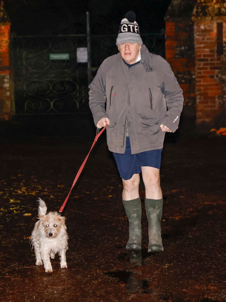 Boris was pictured walking his dog ahead of his Covid enquiry appearance