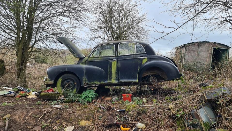 A vintage VW Beetle in the car graveyard