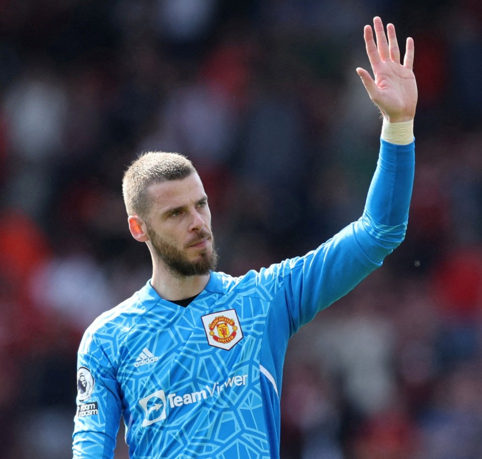 David de Gea is regarded as a contender to step in at Barcelona