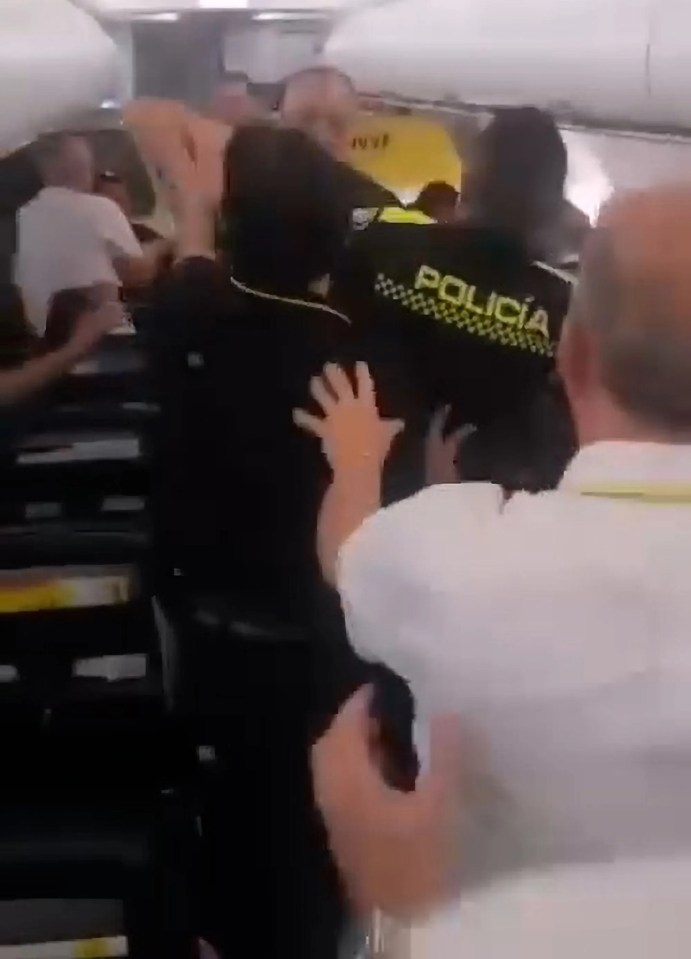 The moment the man unleashed an attack on the cops onboard a plane that caused a big brawl