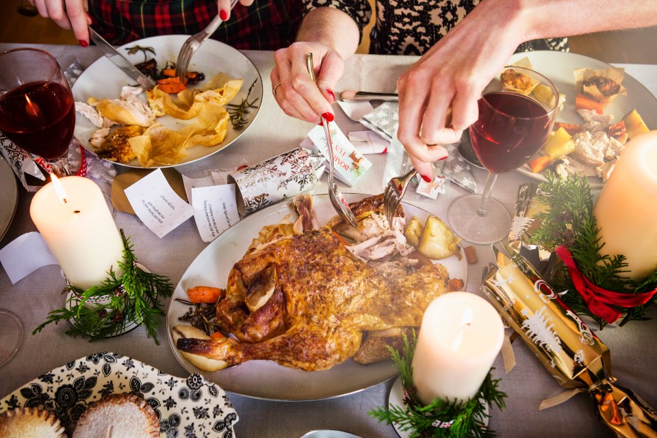 Two women enjoying a Christmas dinner with roast turkey and wine.