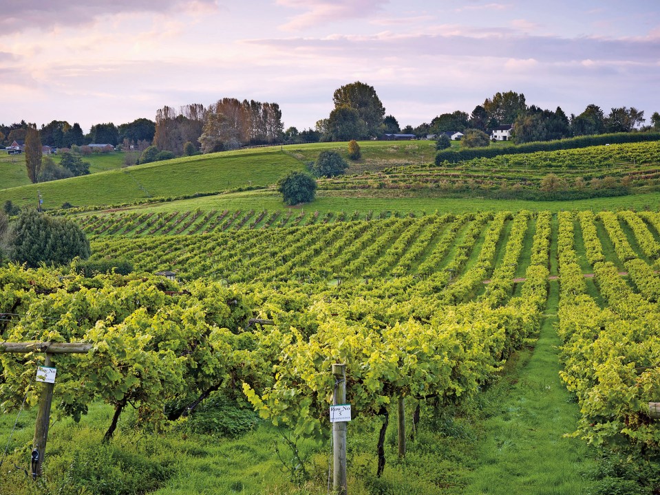 Where the Cotswolds meet the Malvern Hills, you’ll find Three Choirs Vineyards