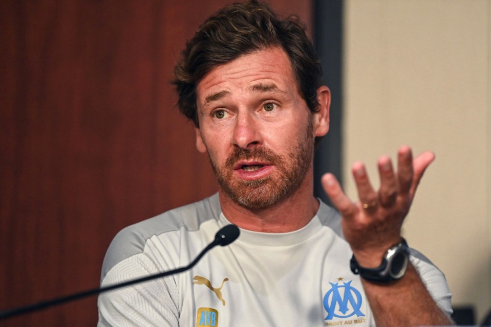 Andre Villas-Boas left his last job at Marseille due to transfer policy differences