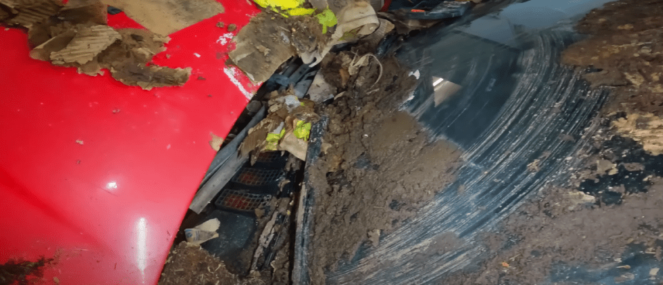 A mixture of mud, degraded cardboard and leaves left the car in ruins