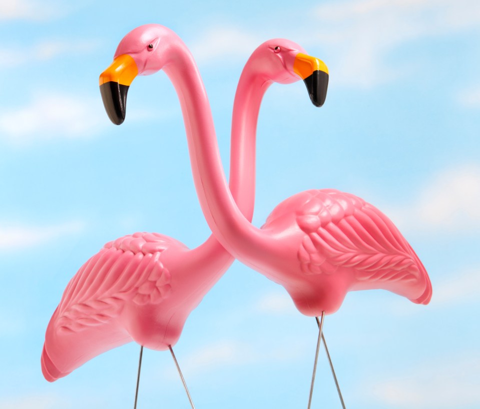 A flamingo statue on the front lawn can really brighten up a garden... and spice things up in the bedroom