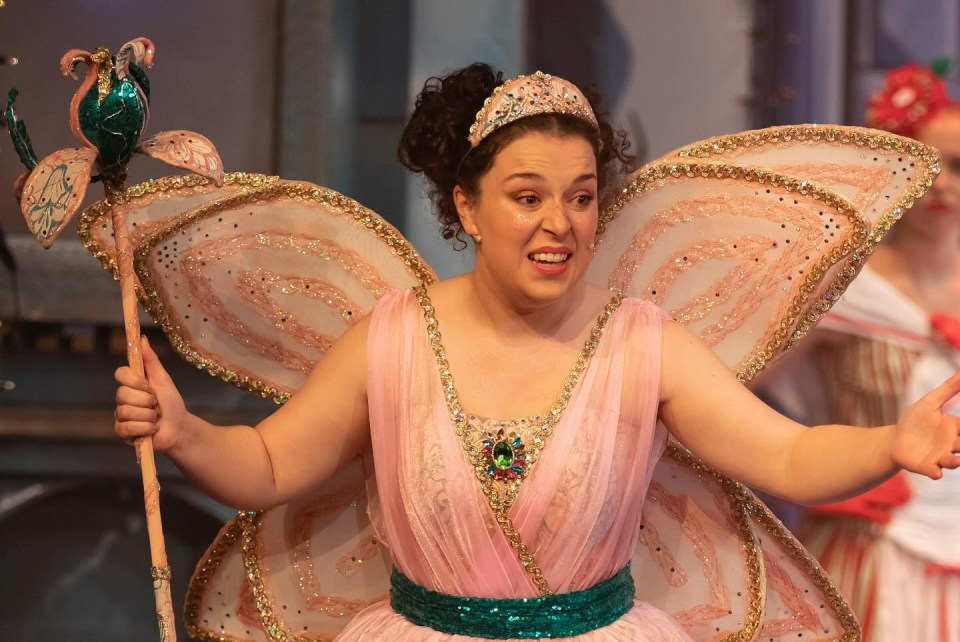 Dani Harmer was forced to pull out of panto after suffering a 'concussion'