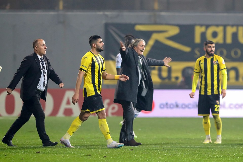 Istanbulspor president Faik Sarıalioğlu stormed onto the pitch