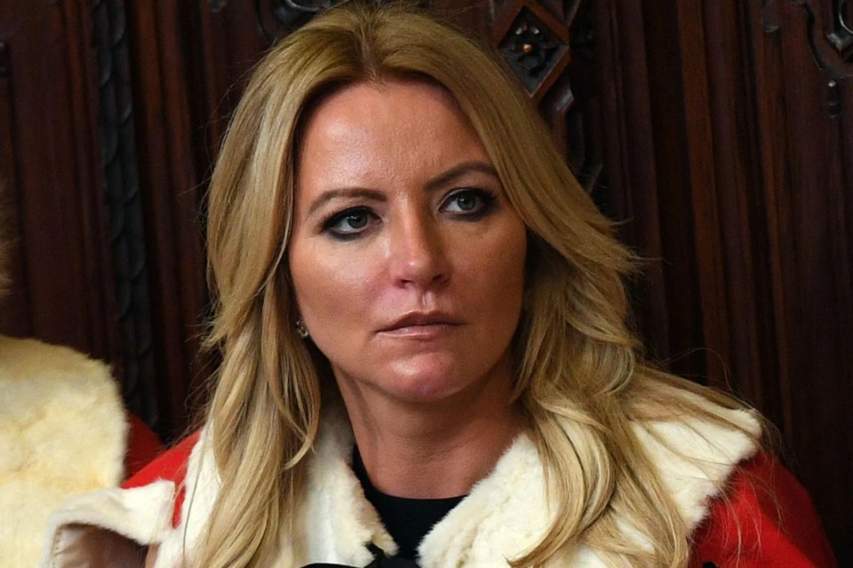 Baroness Mone admitted she lied about £60m Covid contracts